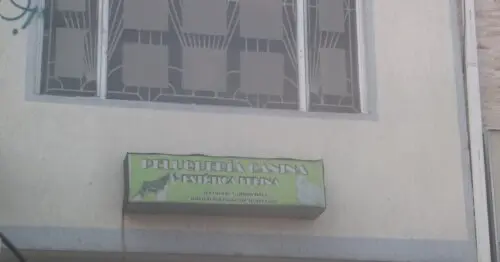 PELUQUERIA CANINA ESTETICA FELINA PELUQUERIA CANINA ESTETICA FELINA
